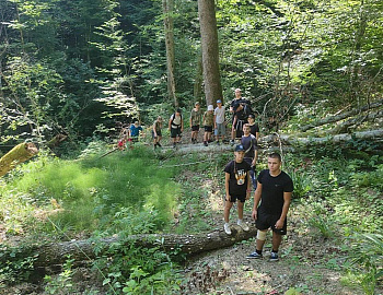 �������� ���� ���������� ��������� ������ ������ �� �������������� ����